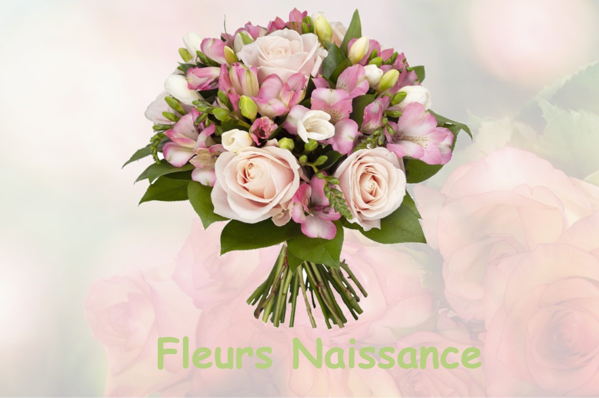 fleurs naissance POILLY-LEZ-GIEN