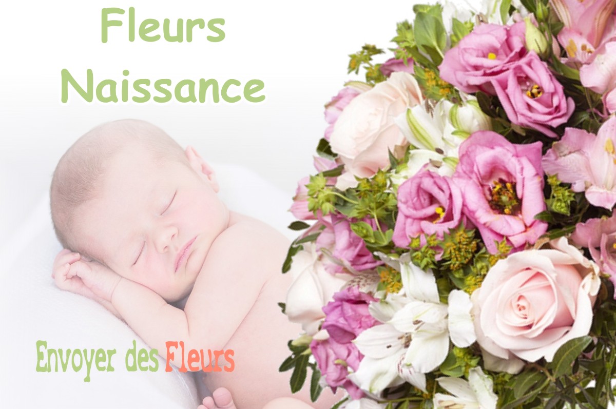 lIVRAISON FLEURS NAISSANCE à POILLY-LEZ-GIEN